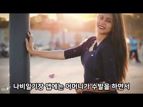 나비일기장 [수발일기장]