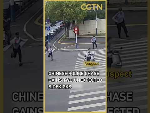 Chinese police chase gains two unexpected sidekicks