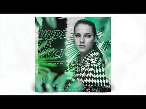 Ana Munteanu - Unde te duci? (Paul Damixie Remix)