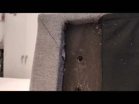 Headboard Full of Bed Bugs in Edison, NJ