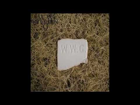 Stępień WWG - Wypowiadam Wojne Gangom (audio) (prod. ConQuest)