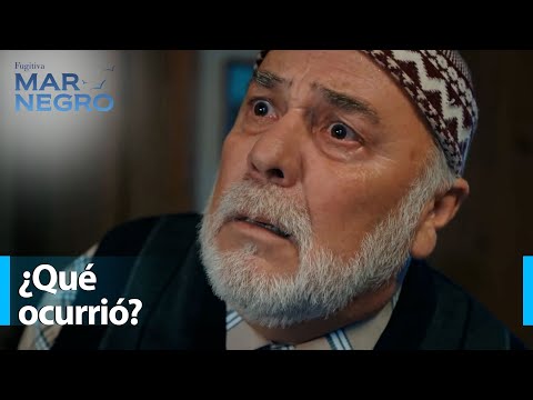 Sr. Osman se entera de lo que le pasó a su invitado Zeynep - Mar Negro Capítulo 179 | Fugitiva