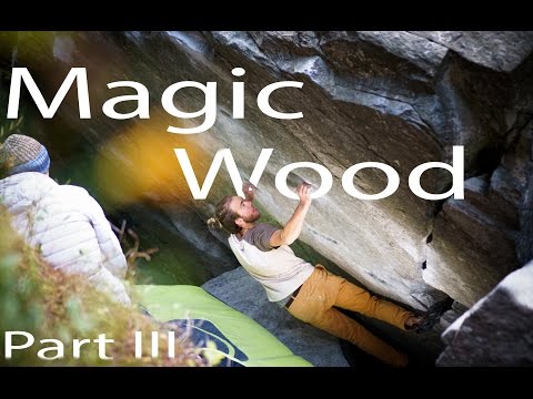 Bouldering 7a to 7c in Magic Wood - Part III | 2016