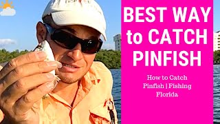 How to Catch Pin Fish | Fishing Florida