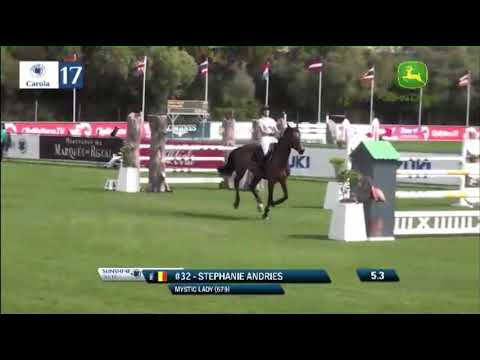 ‘Mystic Lady’ mare 2013 by HH Messenger x Cartogran 7y old 140 Sunshinetour