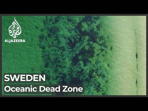 Scientists measure the largest dead zone in the world's oceans: Al Jazeera English, Baltic Sea, Sweden
