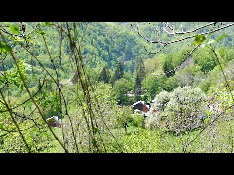 BJESHKËT  E RUGOVËS-Shtupeqi i Madh, Reportazh