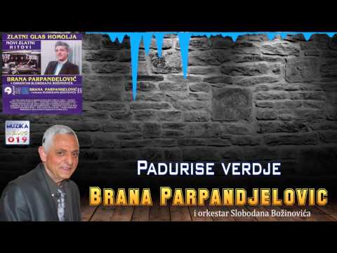 Brana Parpandjelovic 1989 - Padurise verdje // MuzikaUzivo019