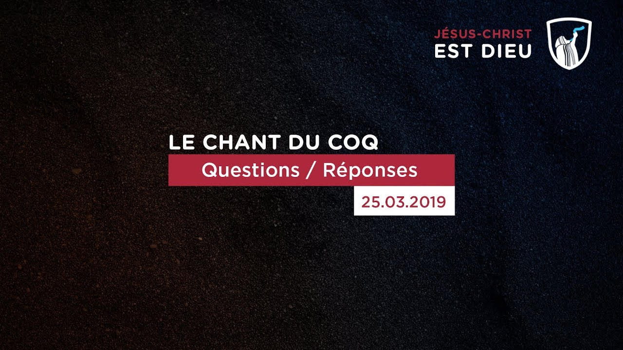 Thumbnail of video: Questions/Réponses