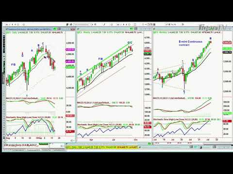 September 15th, The Tiger Technician's Hour with Basil Chapman on TFNN - Educating Investors