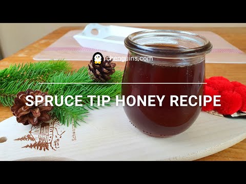 How to make Honey using Spruce Tips (Fichtenspitzenhonig Rezept)