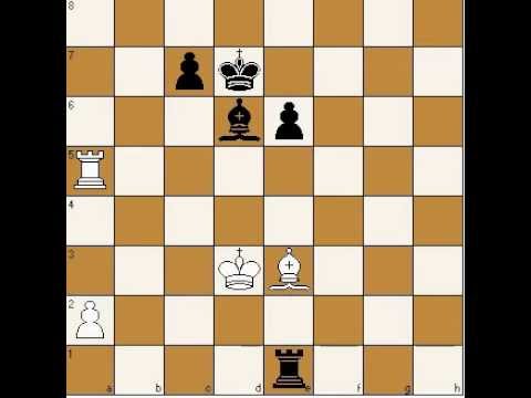 Endre Steiner vs Alexander Alekhine 0-1