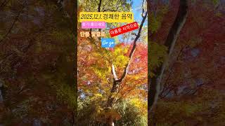 여기 #단풍길은 #경주 불국사 올라가는 단풍길입니다  #25년 마지막 12 월 한달이 시작 되는날