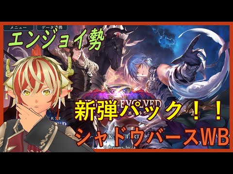 ナイトメア始めたと思ったが、守護ビショップしてました。新パック実装!環境はどう変わった?【シャドウバースWB】【shadowverseWB】