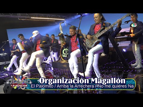 Organización Magallón - El Palomito / Arriba la Arrechera / No me quieres Na