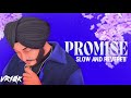Promise - riar saab (slow and revereb ) || VR10k