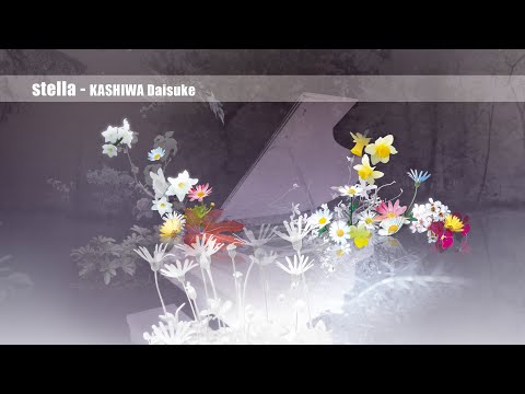 KASHIWA Daisuke - stella
