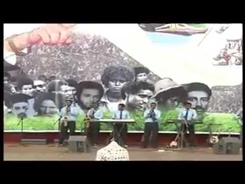 Tigrigna music  Hiluf Alemu