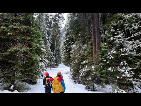 AZUGA - șaua GRECULUI - șaua BAIULUI - cab. DIHAM - La GLĂJĂRIE - cab. MĂLĂIEȘTI - str. GLĂJĂRIEI