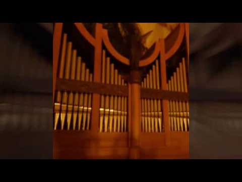 Zuckerboys: "2 Xylophones & 1 Organ" - Improvisation