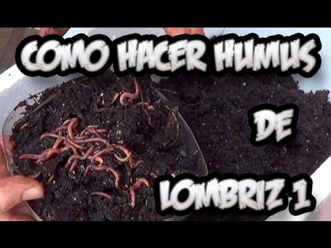 , title : 'Como Hacer Humus De Lombriz #1 || Abono Organico || La Huertina De Toni'