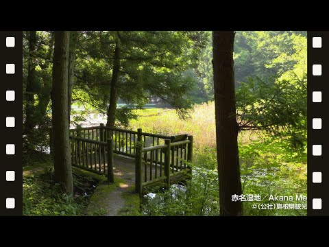 赤名湿地＠島根県観光連盟