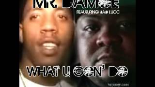 Mr.Damoe feat. Bad Lucc --What U Gon' Do