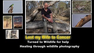 Lost my Wife to Cancer: Turned to Wildlife for help