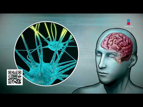 ¿Qué causan los trastornos mentales? | Noticias con Francisco Zea