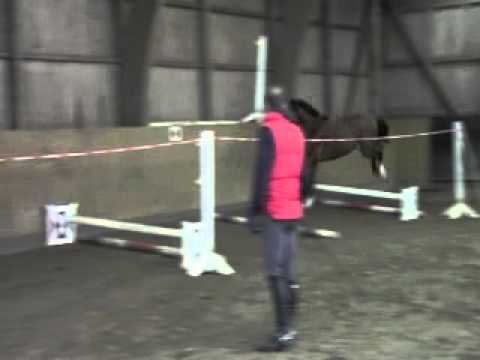 v For Pleasure Lux Z