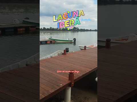 Carlos Pellegrini - Corrientes / Argentina #shorts #shortsfeed #shortsvideo #viral