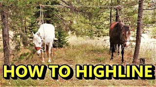 Tying Horses On A Highline;  High Country Tip