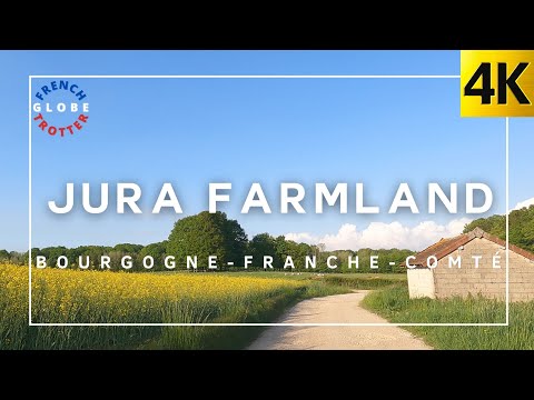 FRANCE RELAX WALK 4K🇫🇷 Jura Farmland | French Nature Comté Cows countryside ambience travel Gopro