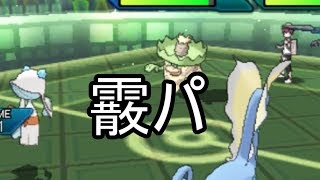 【ダブル】初心者のダブル奮闘記　ポケモンUSMダブル