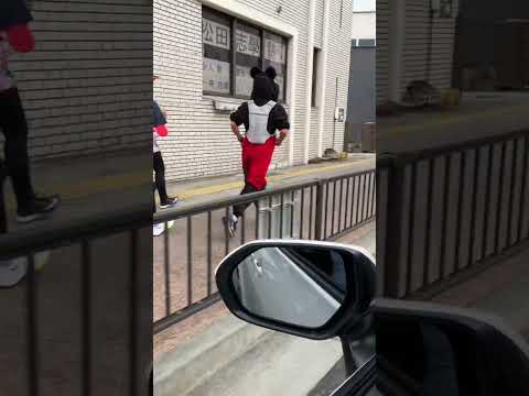 ネズミが鶏の種を食べないようにするために何ができるでしょうか?シンプルだが効果的な 8 つのヒント  庭園