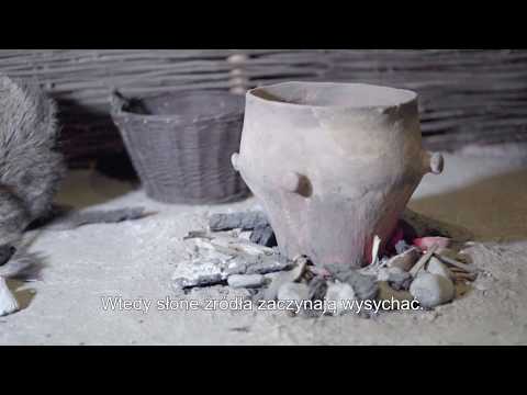 Salt mines in Wieliczka and Bochnia. History and Heritage.