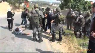 Israeli Soldiers Attack Female Humanitarian Activists