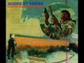 guided by voices  Cut out witch