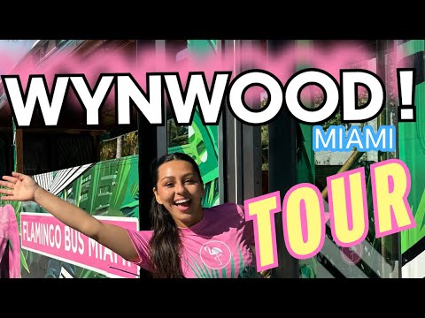 Videos from Flamingo Bus Miami