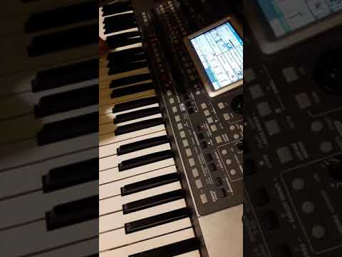 Nicolaie Andrasciuc - Maramures