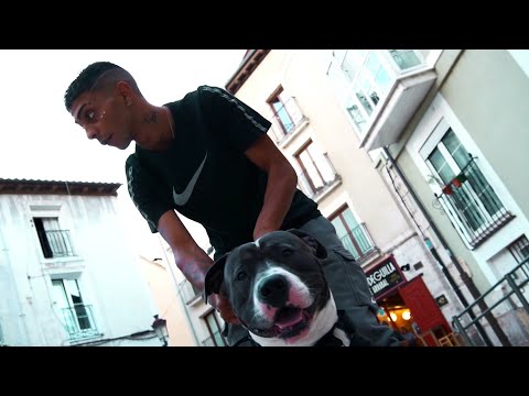 KAPO X DARK - EDICIÓN LIMITADA (VIDEOCLIP)