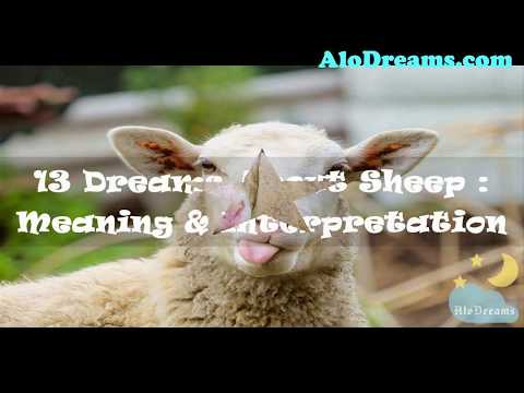 #34 What does sheep dreams mean ?  Dream Meaning