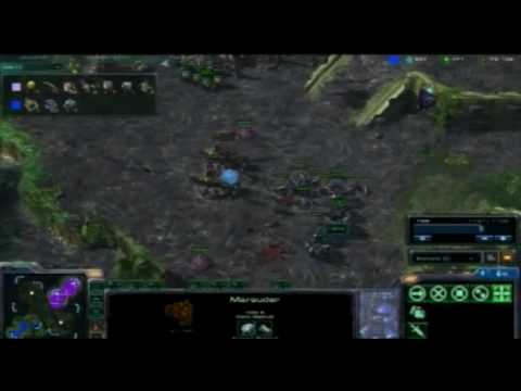 Day6 - Starcraft II - Despiron vs Fenis