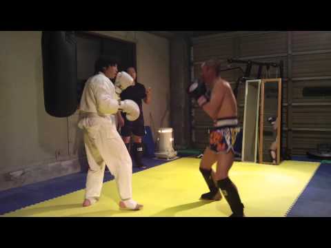 2014-1-29  パンチディフェンス