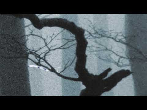 Video thumbnail for Like Two Strangers