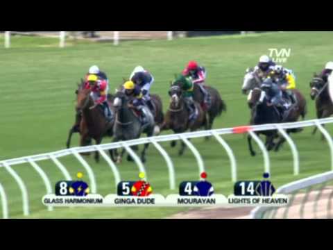 2011 LKS Mackinnon Stakes - Glass Harmonium
