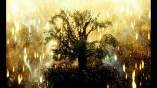 Requiem for the Last Tree (Impromptu)