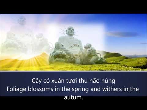 Cư trần lạc đạo Sheet - Bảo Yến