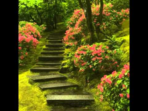 FIEL A TI SENHOR - Trompete solo Fernando Lopez