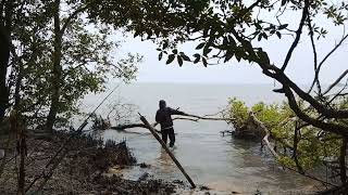 Download lagu Wow, the scenery is truly beautiful, and fishing is such a joy! #fishing mp3